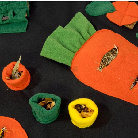 Marchewkowe pole - plac zabaw i mata węchowa 73x53cm dla jeży afrykańskich