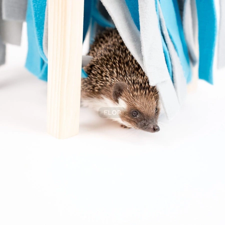 Fleece Forest FLOP - zabawka i kryjówka dla jeży afrykańskich