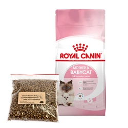 200g Royal Canin Babycat 34 karma dla młodych afrykańskich jeży pigmejskich