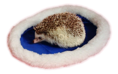 Niebieskie legowisko dla jeża