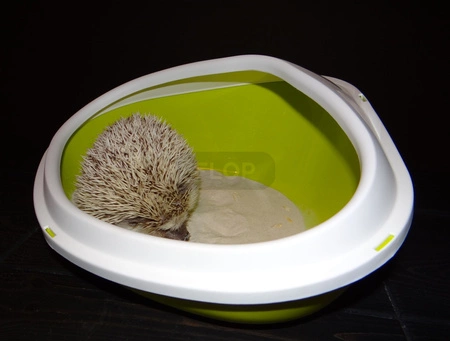 Kuweta SAVIC dla jeża afrykańskiego