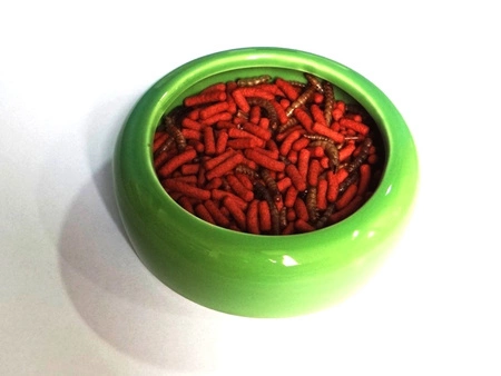 Tropifit Atelerix / Jeżyk 300g